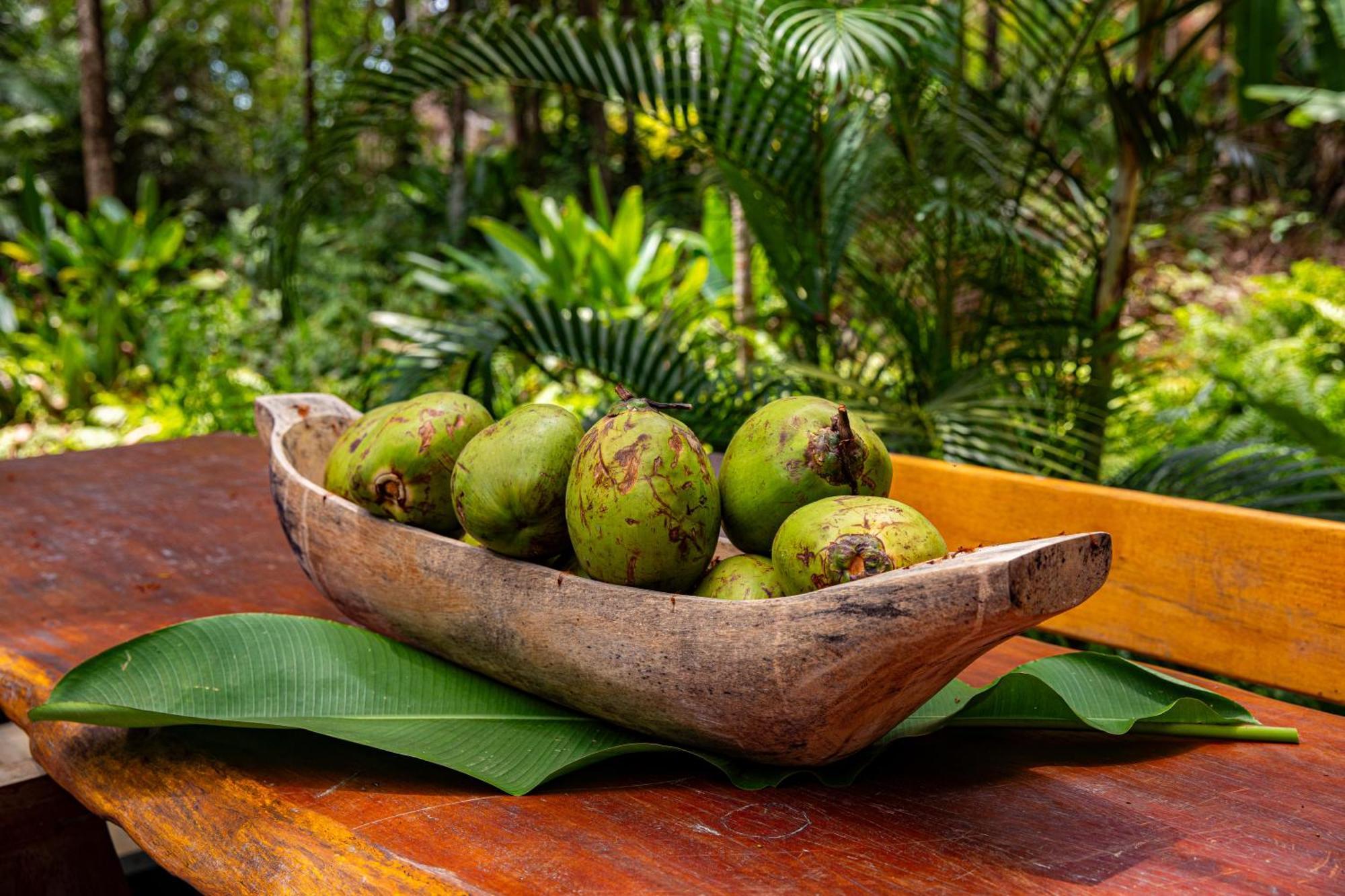 Vila Morena Altos De Itapororoca Trancoso Luaran gambar